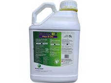 Herbicidas Fornet Max 6 OD, 5 L