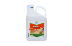 Herbicidas Maister Power OD 57.5, 5 L