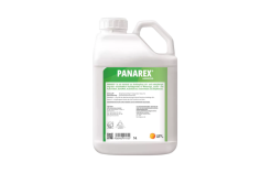 Herbicidas Panarex, 10 L