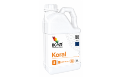IKAR Koral 