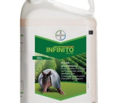 Infinito 