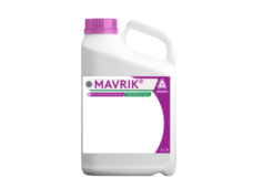 Insekticidas Mavrik, 5 L