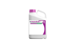 Insekticidas Mavrik, 5 L