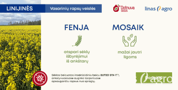Išskirtinės vasarinių rapsų veislės Išskirtinės vasarinių rapsų veislės