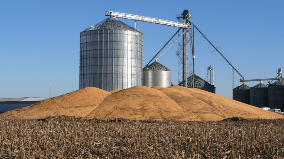Komentaro autorius – Justas Eimontas, AB „Linas Agro“ Grūdinių kultūrų pirkimo vadovas