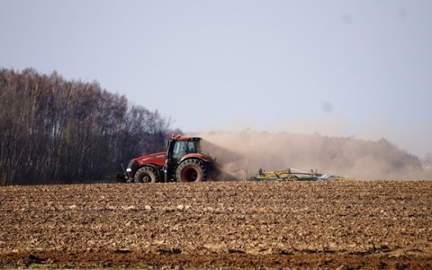 Ką sėsime 2018 metų pavasarį: pasėlių struktūros korekcijos