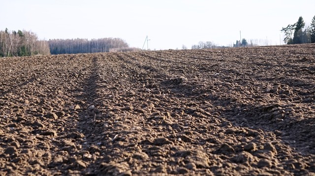 Ką vertėtų žinoti apie dirvožemius prieš 2018 metų pavasario sėją?