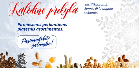 Kalėdinė prekyba sertifikuotomis žemės augalų sėklomis Kalėdinė prekyba sertifikuotomis žemės augalų sėklomis