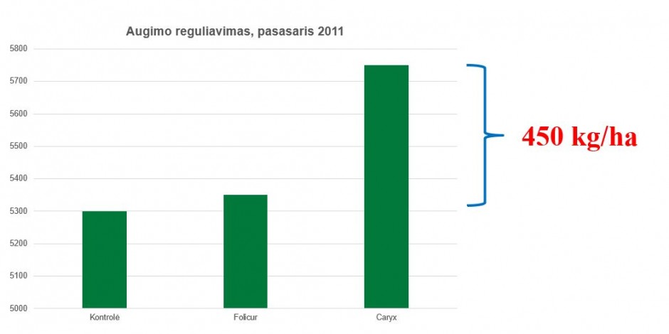 Kodėl pavasarį verta rinktis rapsų augimo reguliatorių Caryx