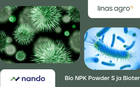 Kuidas Bio NPK Powder S ja Biotero toetavad mulla ja taime koostööd