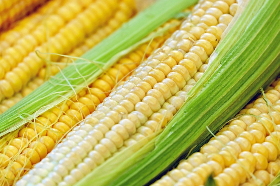 Prekyba kukurūzų opcionais