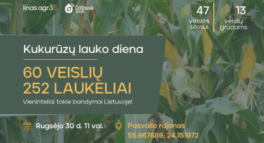 Kukurūzų lauko diena Vildūnuose: 60 veislių vienoje vietoje