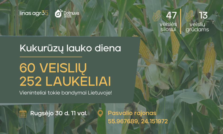 Kukurūzų lauko diena Vildūnuose: 60 veislių vienoje vietoje
