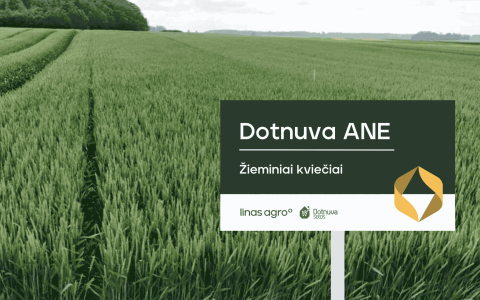 Kviečių veislių mišiniai – vis aktualesnė alternatyva ūkininkams klimato kaitos fone