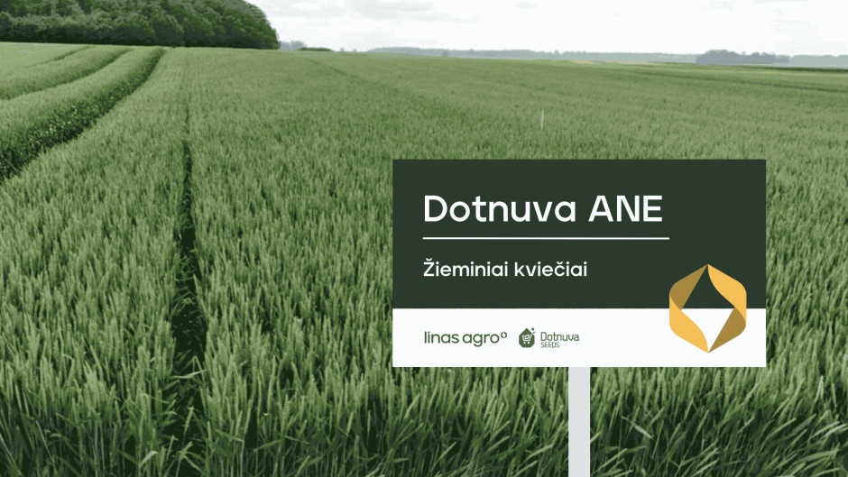 Kviečių veislių mišiniai – vis aktualesnė alternatyva ūkininkams klimato kaitos fone