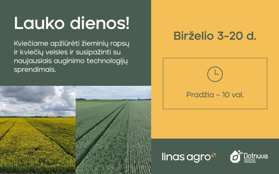 Lauko dienos 2025