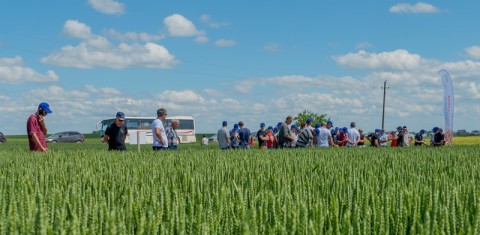 Lauko dienose - galimybė įvertinti veisles ir technologinius sprendimus Lauko dienose - galimybė įvertinti veisles ir technologinius sprendimus