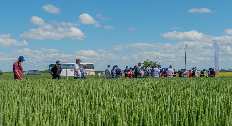 kviečių prekybos galimybės sistemos prekybos kortelės