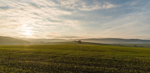 Lietuvos laukuose sėjama vis daugiau sertifikuotų sėklų Lietuvos laukuose sėjama vis daugiau sertifikuotų sėklų