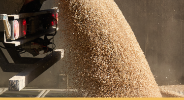 Linas Agro diegia naujovę rinkoje: ūkininkai grūdus pristato be eilių