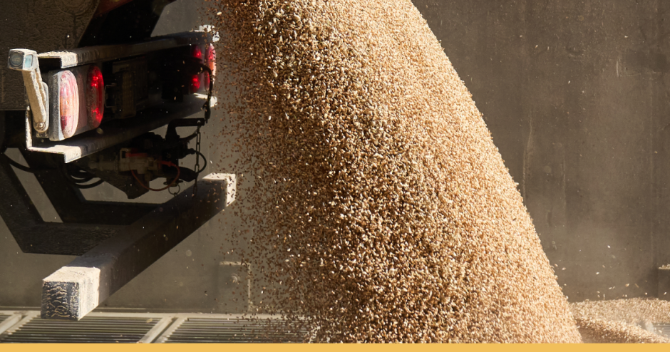 Linas Agro diegia naujovę rinkoje: ūkininkai grūdus pristato be eilių