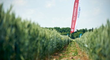 Linas Agro Group įkurta nauja įmonė - UAB Dotnuva Seeds