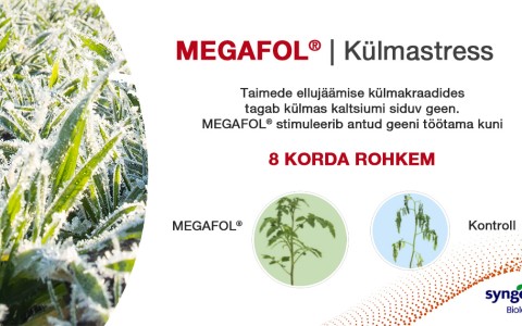 Megafol – taimede tugi stressitingimustes