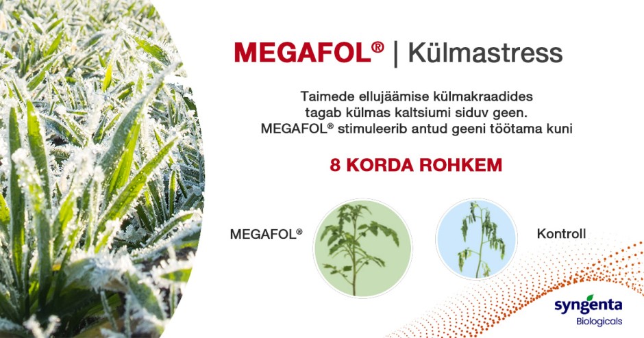 Megafol – taimede tugi stressitingimustes