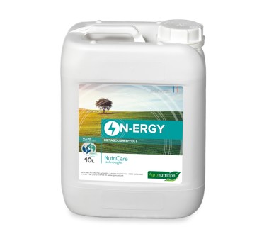 N-ERGY 