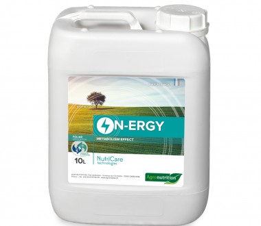 N-ERGY 