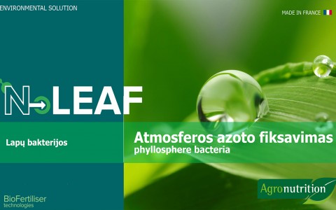N-LEAF – ekologinis sprendimas su intensyviomis lapų baketrijomis