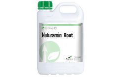 NATURAMIN Root