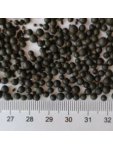 Organinės trąšos Green Circle NS 12-34, 600 kg 