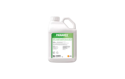 Panarex