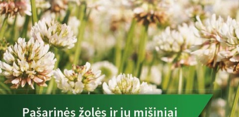 Pašarinės žolės, jų mišiniai ir kukurzai - pasiūlymai 2020 m. sėjai Pašarinės žolės, jų mišiniai ir kukurzai - pasiūlymai 2020 m. sėjai