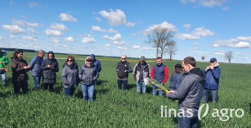 Pasėlių būklės apžvalga ir artimiausios REKOMENDACIJOS Pasėlių būklės apžvalga ir artimiausios REKOMENDACIJOS
