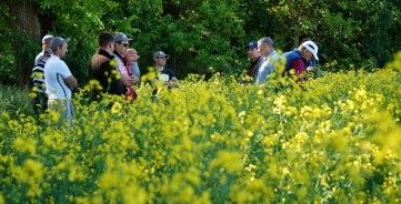 Pasėlių priežiūros aktualijos lauko dienoje Radviliškio rajone