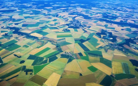 Pradedamas kasmetinis pasėlių deklaravimas Pradedamas kasmetinis pasėlių deklaravimas