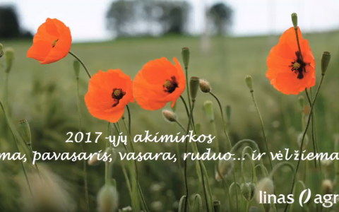 Prisiminkime 2017-ųjų akimirkas!