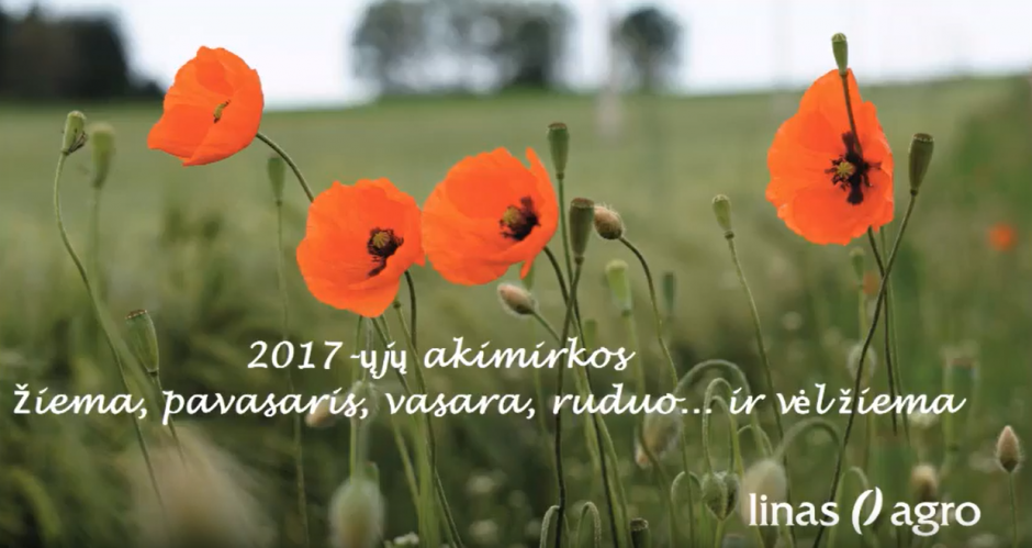 Prisiminkime 2017-ųjų akimirkas!