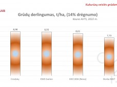 Pumori FAO 210