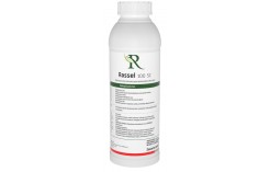 Rassel