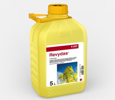 Revydas