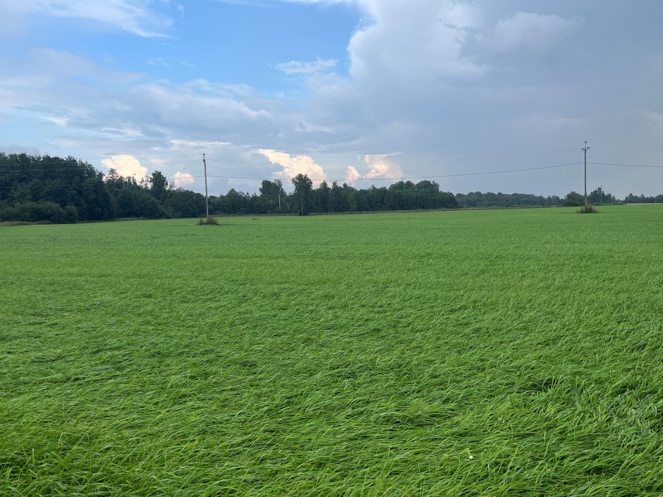 Rohumaade rajamine – uue põllu sünd!