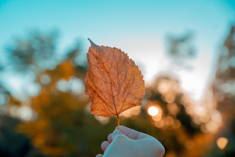 Rudens pabaigos lauko darbai