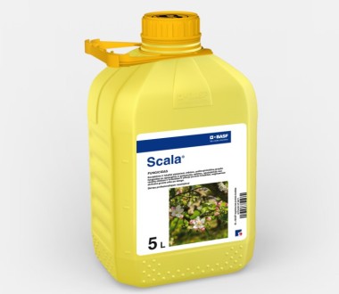 Scala