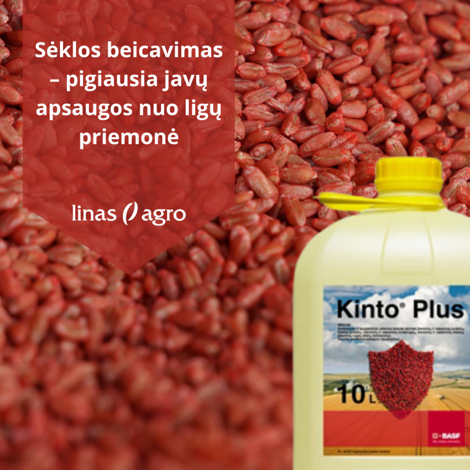 Sėklos beicavimas – pigiausia javų apsaugos nuo ligų priemonė