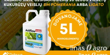 Specialus vasario mėn. pasiūlymas Specialus vasario mėn. pasiūlymas