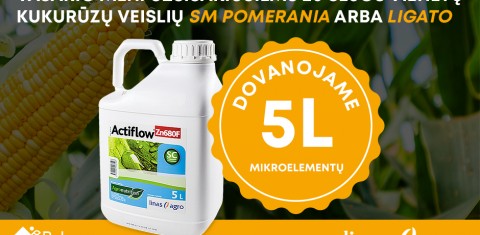 Specialus vasario mėn. pasiūlymas Specialus vasario mėn. pasiūlymas