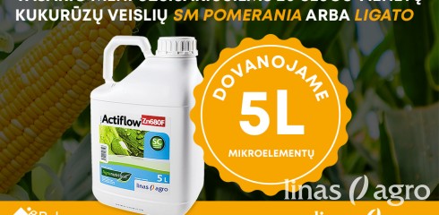 Specialus vasario mėn. pasiūlymas Specialus vasario mėn. pasiūlymas